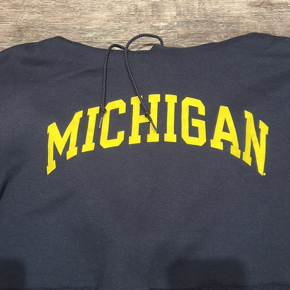 Michigan Cropped Hoodie - Picture 3 of 5